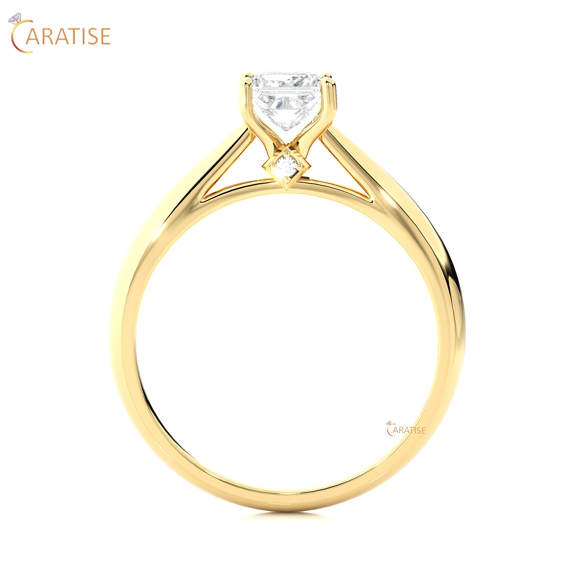 0.80 TDW Round & Princess Cut Women's Engagement Diamond Ring